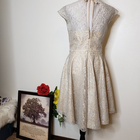 NEW RARE Slate & Willow Champagne Illusion Neckline Glistening Lace Spin Dress - Picture 9 of 16